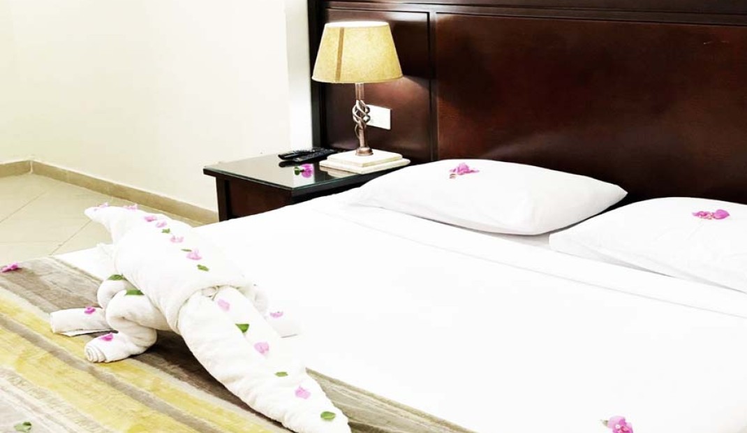 Standard Single room /  Half Board ....( Breakfast & Dinner )